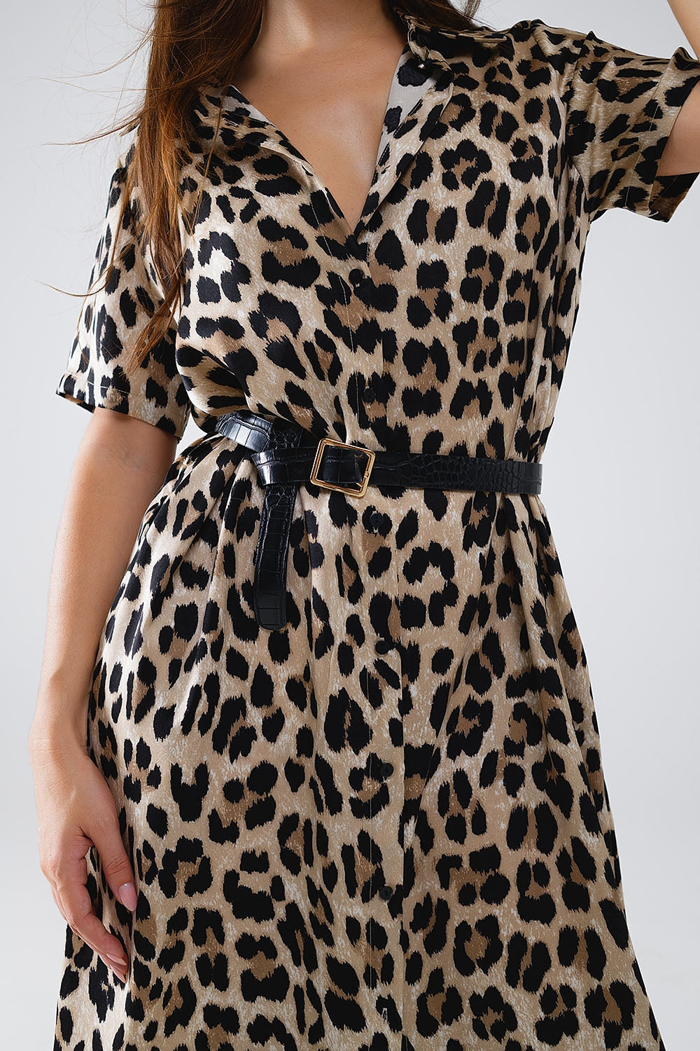 Short Sleeve Shirt Midi Dress With Belt In Leopard Print Q2 Dresses BoutiqueLua